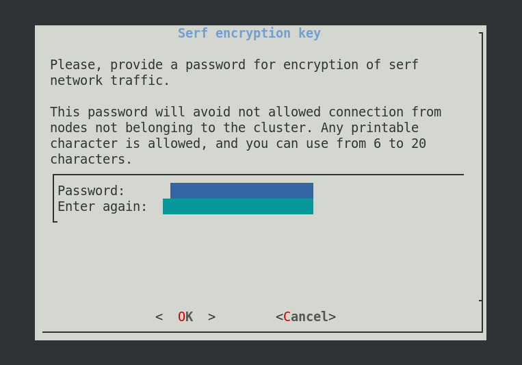 Configure Serf Key