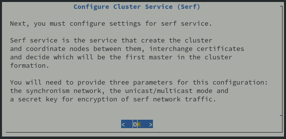 Iniciando la configuración de Serf